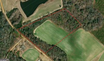 12 37 Acres- Lo Perry Horton, Adrian, GA 31002