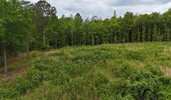 6020 Eaglewood Ln, Birchwood, TN 37308