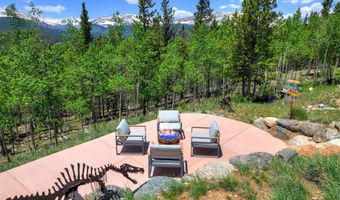 1453 PONDEROSA Rd, Alma, CO 80420