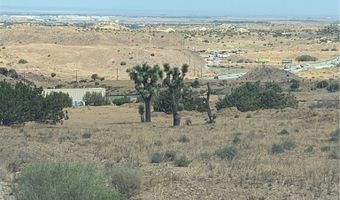 2 Rough Rd, Acton, CA 93550