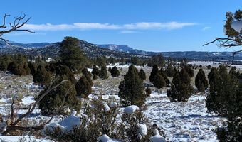 159 Acres Tom Best Springs Rd, Bryce, UT 84764