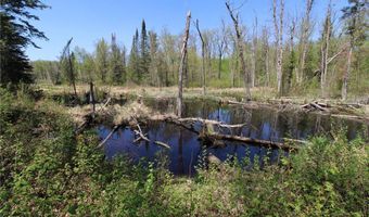 25343 Lens Rd, Aitkin, MN 56447