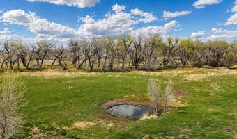 38250 COUNTY RD 170, Agate, CO 80101