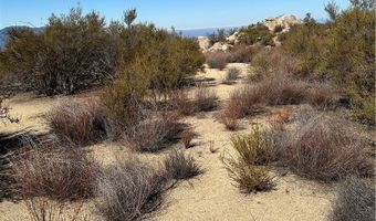 0 Ruben Dr, Aguanga, CA 92536