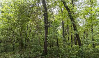1569 Spider K Rd, Anderson, MO 64831