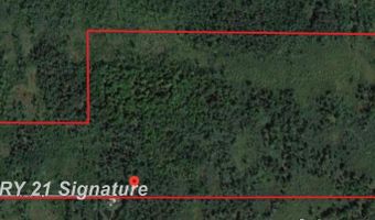 6002 Wildwood, Alger, MI 48610