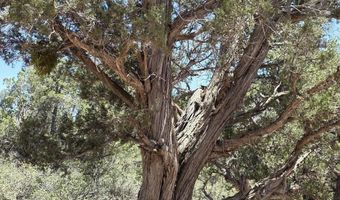 179 Arizona Rd, Ash Fork, AZ 86320