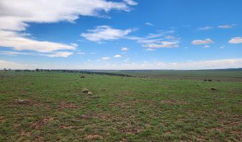 67 66 59 ACR N3377, Concho, AZ 85924