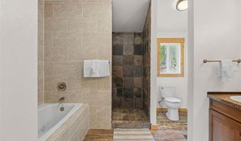 52 Coot Pl, Alma, CO 80420