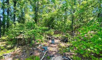 Grants Mill Rd W, Bennettsville, SC 29512