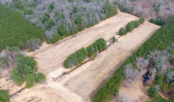 Dover Drive lot 2 +/-43 Ac, Adams, WI 53910