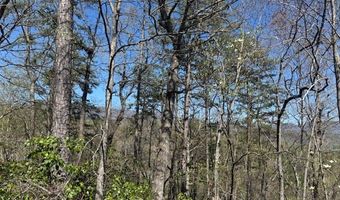 000 Holland Farm Rd, Andrews, NC 28901