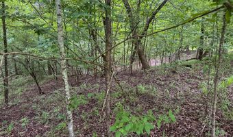 Legacy Shores lot 48, Alberta, AL 36720