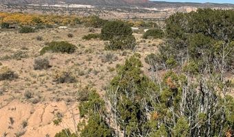 DUANE Street, Abiquiu, NM 87510