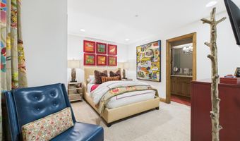 914 E Cooper Ave, Aspen, CO 81611