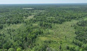 6002 Wildwood, Alger, MI 48610