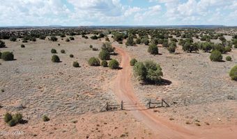 138 Jeff Lake Rd (CR N9230), Concho, AZ 85924