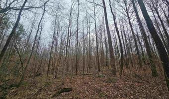 13 Toney Drive, Altoona, AL 35952