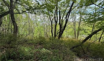 Spice Creek Road, Banner Elk, NC 28604