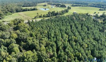 24108 Highway Fifty Eight, Baskerville, VA 23915