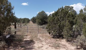 S Carson Road 39 Acres, Carson, NM 87517