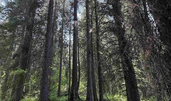 24 Wapiti Dr, Cascade, ID 83611