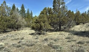 Yellow Jacket Springs RD, Beatty, OR 97621