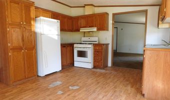 921 Hall St, Albion, MI 49224