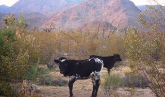 166 S Cattle Crossing Rd, Yucca, AZ 86438
