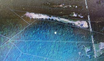 10 96 Acres CEDAR CORNERS Rd, Bridgeville, DE 19933