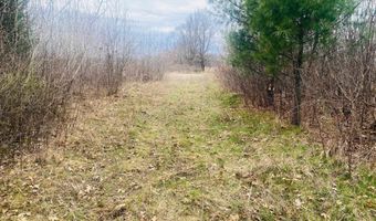 42 53A COUNTY ROAD Q, Amherst Junction, WI 54407