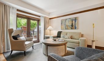 415 E Dean St Unit 10 Weeks 51 + 52, Aspen, CO 81611