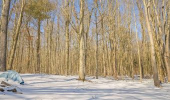 419 Algerine St, Afton, NY 13730
