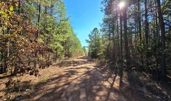 2 TBD Henderson Mill Rd, Bates, AR 72958