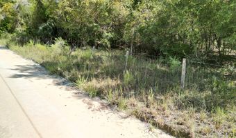 55 Th St, Bell, FL 32619