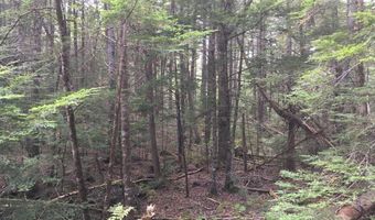 B-2BackLot Pioneer Path, Aurora, ME 04605