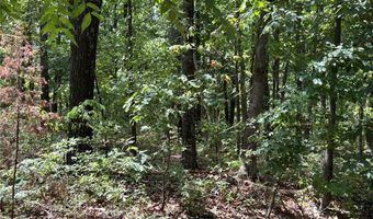 Cranbrook Lane lot 21, Bella Vista, AR 72714