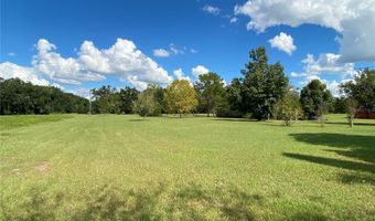 5559 SW 42ND Pl, Bell, FL 32619