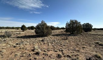 116 B NE Raging Crab Rd, Ash Fork, AZ 86320