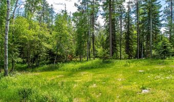 695 Latigo Ln, Bigfork, MT 59911