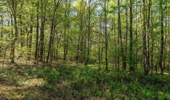 110 Keller Rd, Afton, TN 37616