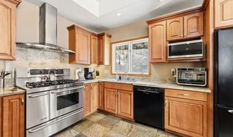 227 MOUNTAIN VIEW Dr, Blue River, CO 80424