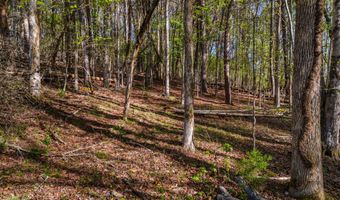 Back Nine Drive lot 13, Baneberry, TN 37890