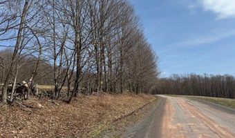 Lot 2 Doig Hollow Road, Andes, NY 13731