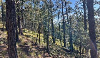 141 Afv N Back Basin Rd, Angel Fire, NM 87710