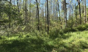 HURT HOLLOW RD, Banco, VA 22711