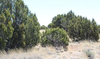 80 County Road 8620, Concho, AZ 85924