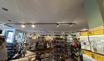 635 E Cooper Ave, Aspen, CO 81611