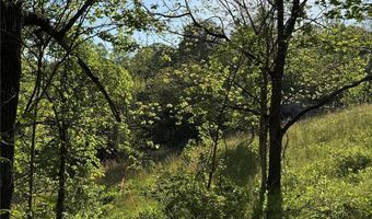 15 Woodchuck Cv, Alexander, NC 28701