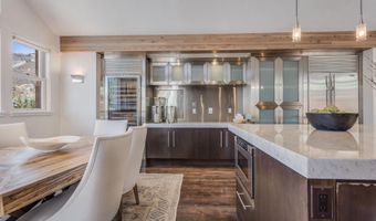 708 E Hyman Ave, Aspen, CO 81611